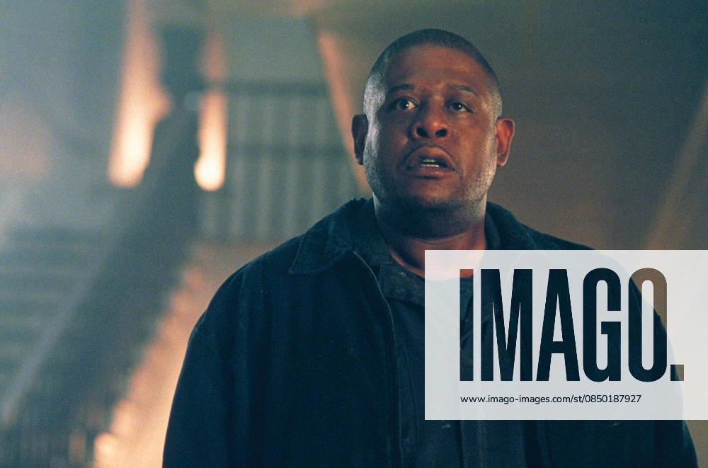 2002 - Panic Room - Movie Set RELEASE DATE: March 29, 2002 MOVIE TITLE: Panic Room STUDIO: Columbia Pictures PLOT: A woman and her teenage daughter become imprisoned in the panic room of their own house by 3 criminals. PICTURED: FOREST WHITAKER as Burnham. Hollywood California USA
