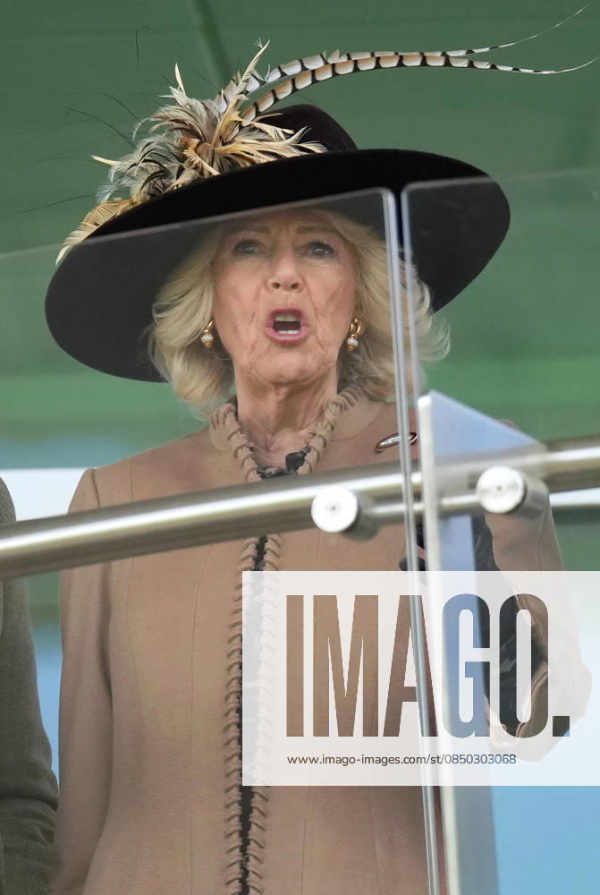 Ladies Day at Cheltenham Festival Queen Camilla attends Ladies Day at Cheltenham Festival, Cheltenham Racecourse, Cheltenham, Gloucestershire, UK, on the 11th March 2026 Picture by James Whatling Cheltenham Cheltenham Racecourse Gloucestershire United Kingdom WHA-0810