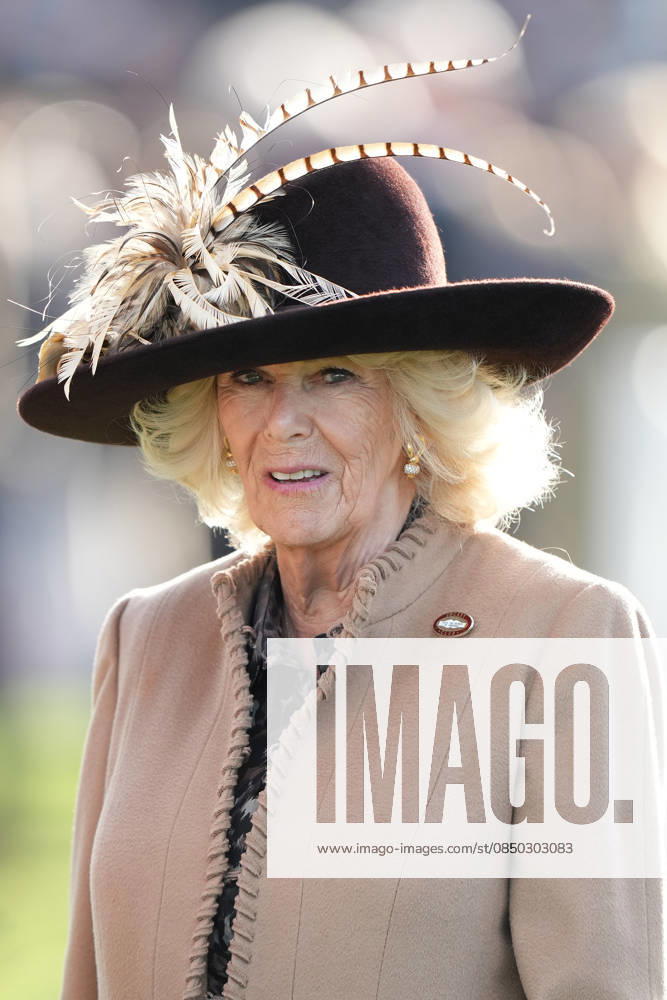 Ladies Day at Cheltenham Festival Queen Camilla attends Ladies Day at Cheltenham Festival, Cheltenham Racecourse, Cheltenham, Gloucestershire, UK, on the 11th March 2026 Picture by James Whatling Cheltenham Cheltenham Racecourse Gloucestershire United Kingdom WHA-0810