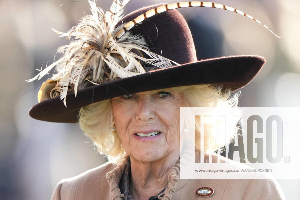 Ladies Day at Cheltenham Festival Queen Camilla attends Ladies Day at Cheltenham Festival, Cheltenham Racecourse, Cheltenham, Gloucestershire, UK, on the 11th March 2026 Picture by James Whatling Cheltenham Cheltenham Racecourse Gloucestershire United Kingdom WHA-0810