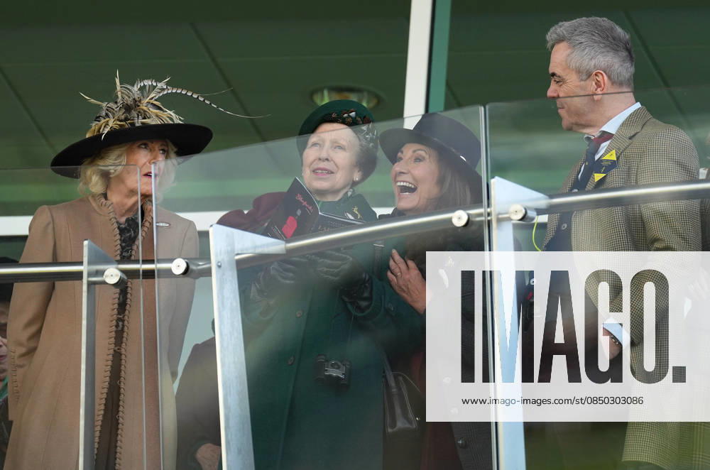Ladies Day at Cheltenham Festival Queen Camilla, Princess Anne and Carole Middleton cheer on the racing as they attend Ladies Day at Cheltenham Festival, Cheltenham Racecourse, Cheltenham, Gloucestershire, UK, on the 11th March 2026 Picture by James Whatling Cheltenham Cheltenham Racecourse Gloucestershire United Kingdom WHA-0810