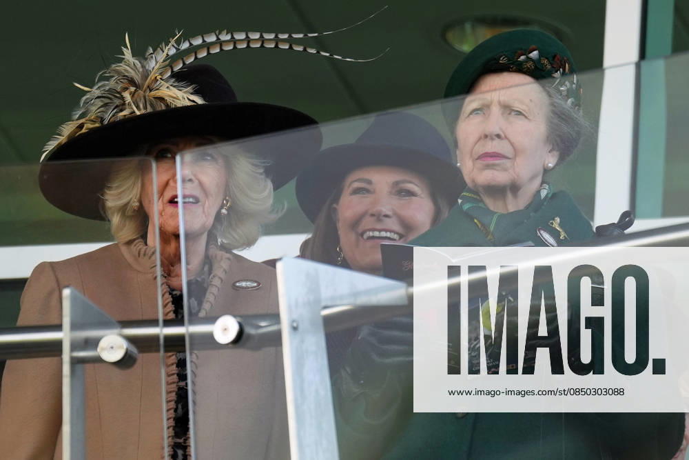 Ladies Day at Cheltenham Festival Queen Camilla, Princess Anne and Carole Middleton cheer on the racing as they attend Ladies Day at Cheltenham Festival, Cheltenham Racecourse, Cheltenham, Gloucestershire, UK, on the 11th March 2026 Picture by James Whatling Cheltenham Cheltenham Racecourse Gloucestershire United Kingdom WHA-0810