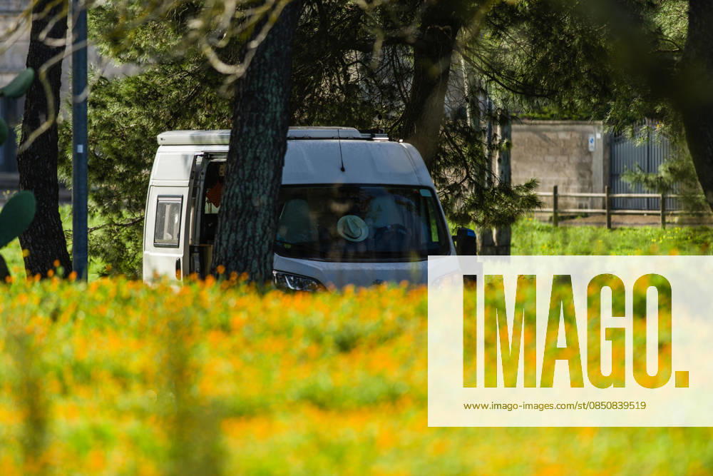 A campervan stands between trees in the middle of a marigold meadow in Salento, Apulia, Italy A campervan stands in the natural landscape next to a flower meadow