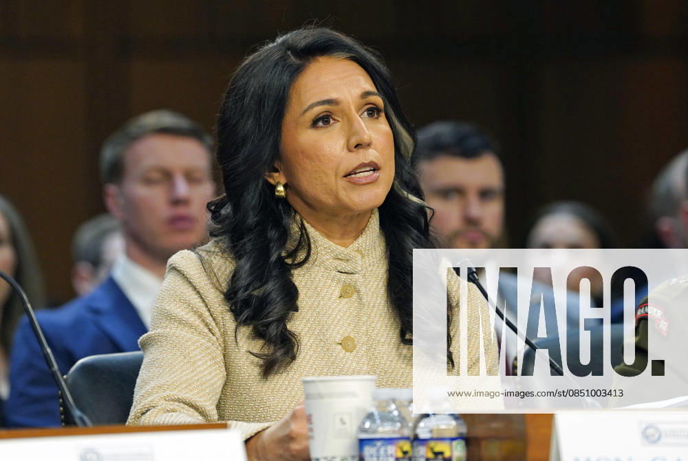 Tulsi Gabbard, Director of National Intelligence (DNI) testifies before the US Senate Select Committee on Intelligence hearing to ˜Examine Worldwide Threats in the Hart Senate Office Building on Capitol Hill in Washington, DC, USA, on Wednesday