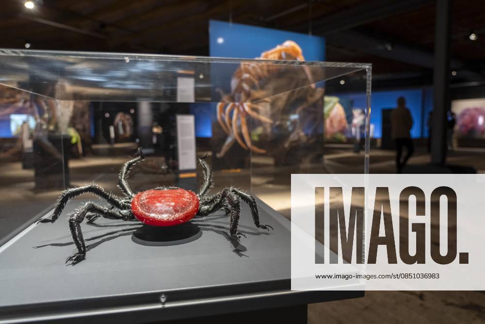 New exhibition in the Gasometer Oberhausen, Mythos Wald, on 3 levels and with several thematic chapters, the exhibition shows the diversity of the worlds forests with pictures, videos and exhibits, NRW, Germany, Mythos Wald Oberhausen