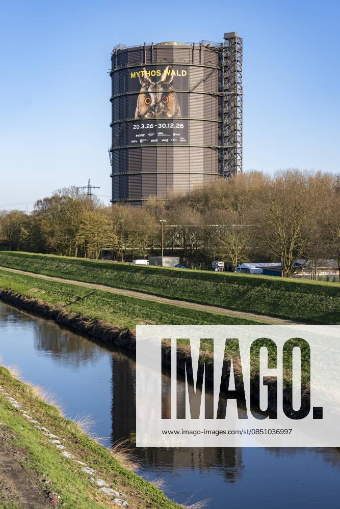 New exhibition in the Gasometer Oberhausen, Emscher, Mythos Wald, on 3 levels and with several thematic chapters, the exhibition shows the diversity of the worlds forests with pictures, videos and exhibits, NRW, Germany, Mythos Wald Oberhausen