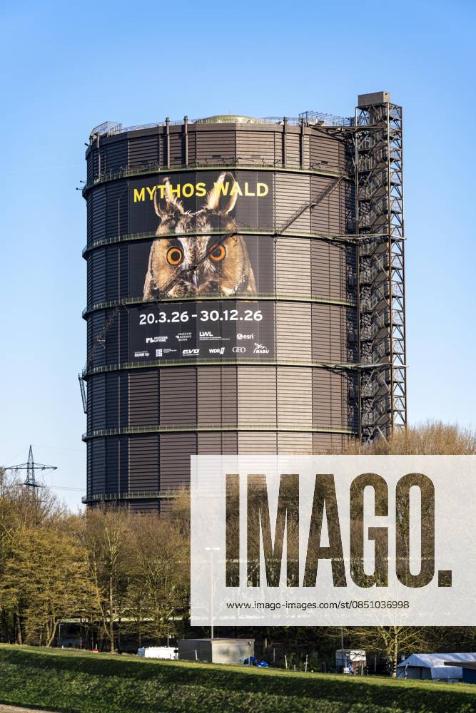 New exhibition in the Gasometer Oberhausen, Mythos Wald, on 3 levels and with several thematic chapters, the exhibition shows the diversity of the worlds forests with pictures, videos and exhibits, NRW, Germany, Mythos Wald Oberhausen