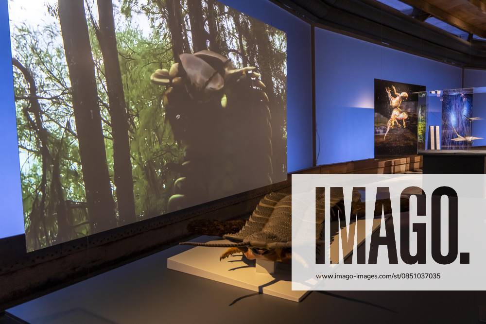 New exhibition in the Gasometer Oberhausen, Mythos Wald, on 3 levels and with several thematic chapters, the exhibition shows the diversity of the worlds forests with pictures, videos and exhibits, NRW, Germany, Mythos Wald Oberhausen
