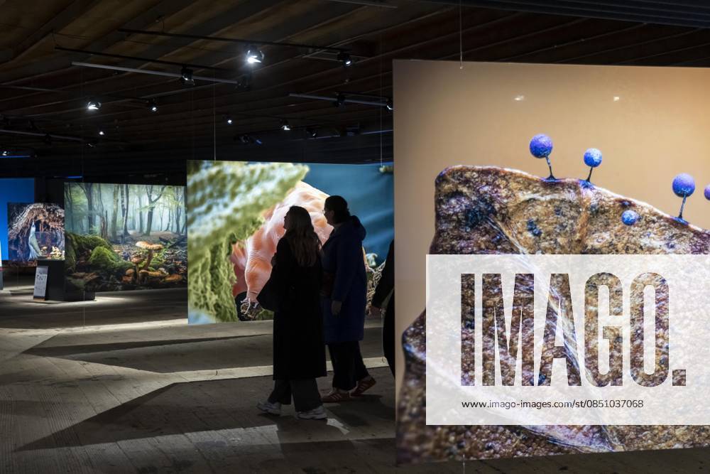 New exhibition in the Gasometer Oberhausen, Mythos Wald, on 3 levels and with several thematic chapters, the exhibition shows the diversity of the worlds forests with pictures, videos and exhibits, NRW, Germany, Mythos Wald Oberhausen
