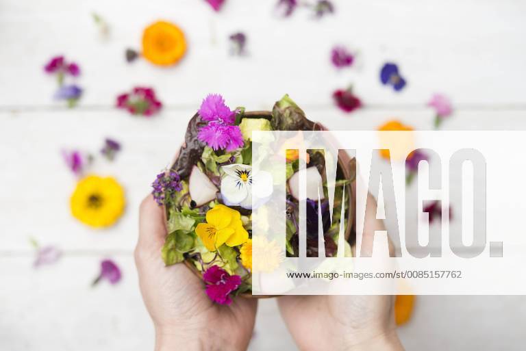 Woman s hands holding bowl of salad with edible flowers model released Symbolfoto SKCF00521