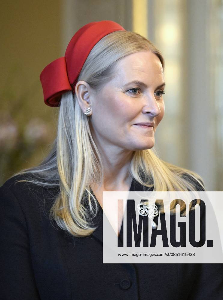 State Visit of King Philippe and Queen Mathilde to Norway (Day 1) OSLO, NORWAY - MARCH 24 : official photo in the Birds Room of Princess Mette-Marit Tjessem Høiby of Norway pictured during the official state visit in Norway of the Belgian Sovereins on March 24, 2026 in Oslo, Norway, 24 03 2026 Oslo Norway