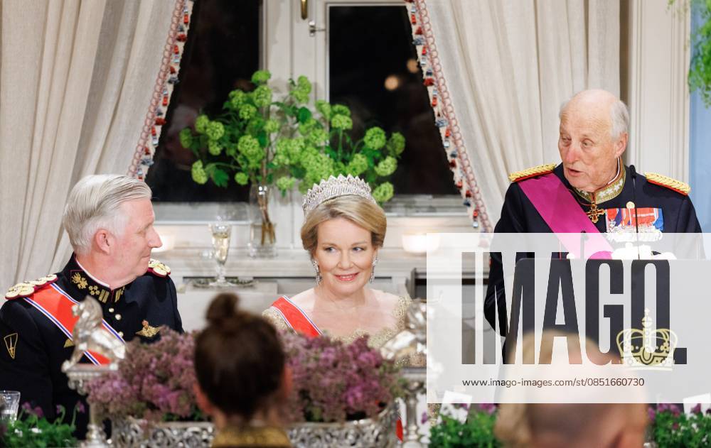 King Philippe - Filip of Belgium, Queen Mathilde of Belgium and King Harald V of Norway pictured at the State Banquet hosted by Norwegian royal family in the Royal Palace in Oslo, on the first day of the official state visit of the Belgian royal couple to Norway, on Tuesday 24 March 2026. Belgian monarchs are on an official state visit to Norway from 24 to 26 March 2026. BENOITxDOPPAGNE 168803143
