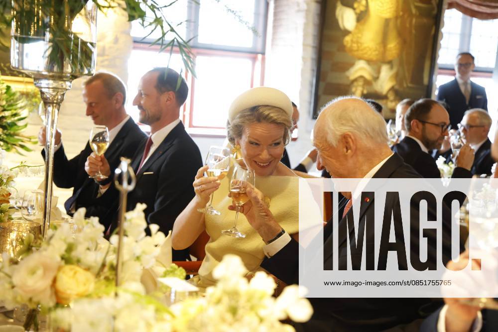 Crown Prince Haakon Magnus of Norway, Queen Mathilde of Belgium and King Harald V of Norway pictured at the lunch at the Akershus Fortress castle, in Oslo, on day two of the official state visit of the Belgian royal couple to Norway, on Wednesday 25 March 2026. Belgian monarchs are on an official state visit to Norway from 24 to 26 March 2026. POOLxOLIVIERxPOLET 168887512