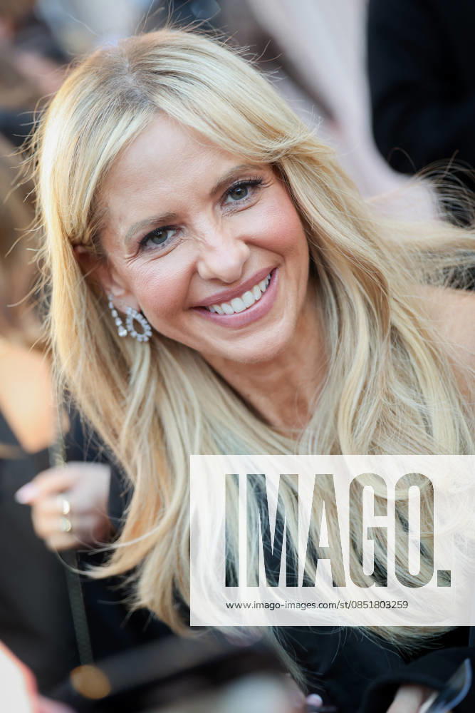 Sarah Michelle Gellar attends the Wedding Nightmare 2 Premiere on March 25, 2026 in Paris, France 454448 2026 03 25