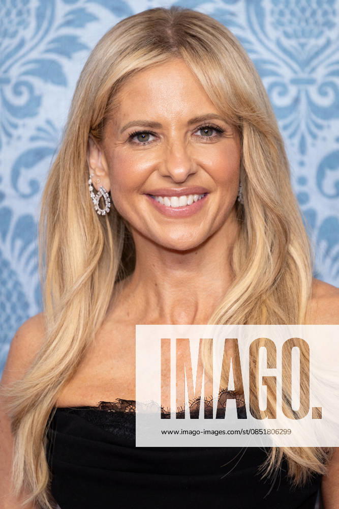 Sarah Michelle Gellar Premiere of the film Wedding Nightmare 2 at the Pathé Palace in Paris, March 25, 2026 Cyrl Moreau Bestimage Premiere of the film Wedding Nightmare 2 at the Pathé Palace in Paris, March 25, 2026 Paris France