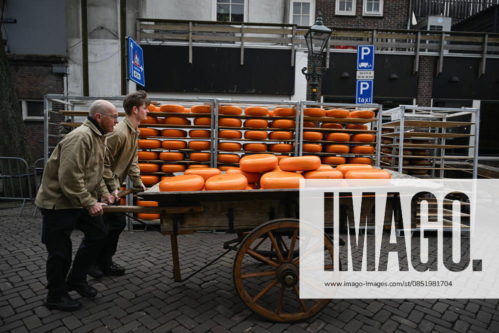 Cheese Market Season Opens in Alkmaar, Netherlands ALKMAAR, NETHERLANDS — MARCH 27: Visitors gathered for the opening, as the market continues to attract tourists from across Europe each year and remains a notable cultural attraction in Alkmaar, the Netherlands on March 27, 2026. The cheese market season opened at Waagplein in Alkmaar, marking the return of a well-known traditional event. Mouneb Taim Anadolu Alkmaar Netherlands. Editorial use only. Please get in touch for any other usage.