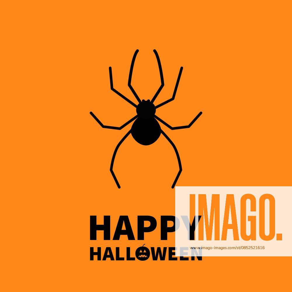 Cute Cartoon Black Spider Insect Happy Halloween Cute cartoon black spider insect Happy Halloween greeting card Flat design Orange background