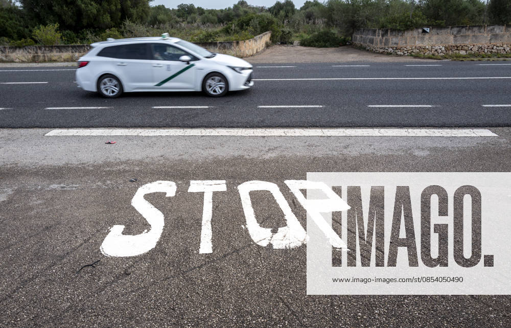 Wines Stop Marking at grey Asphalt, Majorca, Spain 1020930764