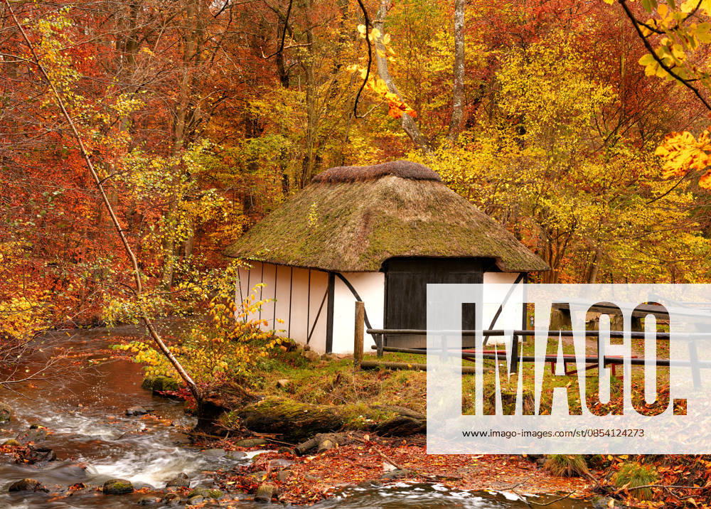 A cottage in the countryside in autumn landscape beside a river in Europe. Peaceful and quiet nature scene of rustic barn or boathouse near calm water and changing season of red and yellow leaves. (License=RF) ,model released, Symbolfoto
