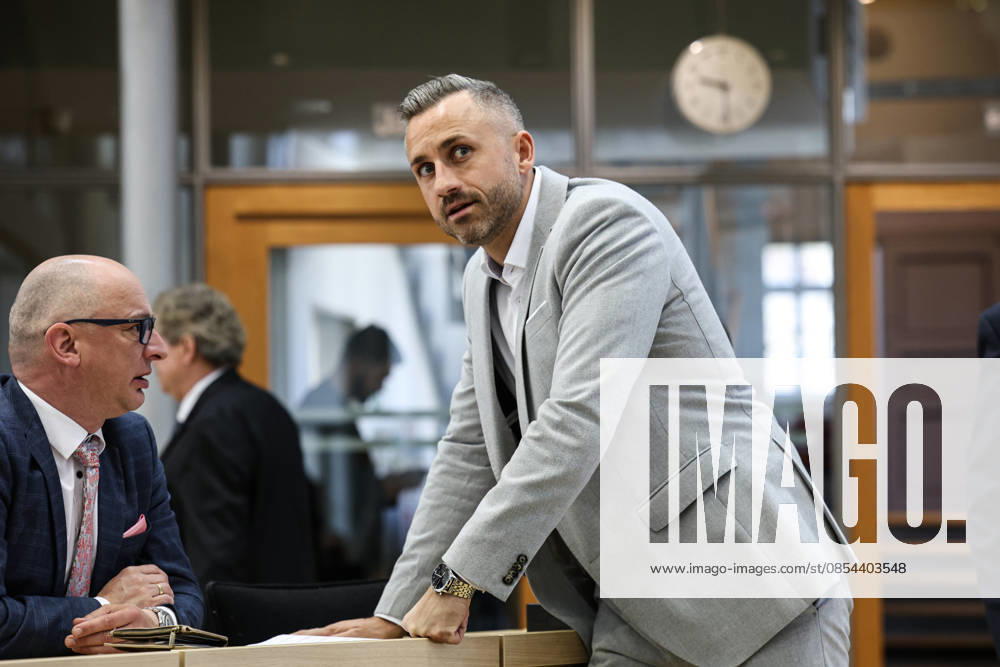 Parliamentary Group Chairman Ulrich Siegmund AfD, Saxony-Anhalt Parliamentary session in the Saxony-Anhalt state parliament