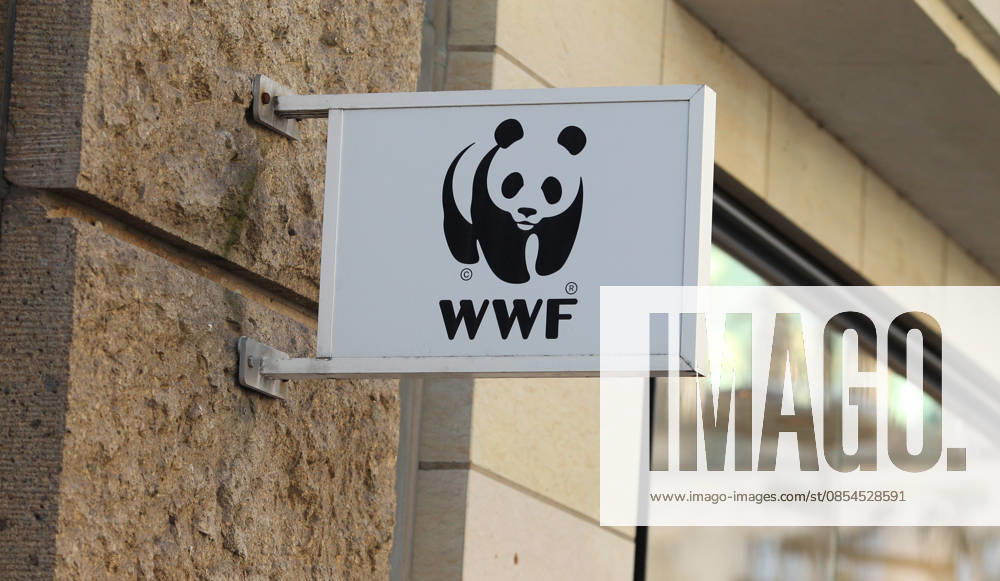 Sign on the facade of the office building in Mönckebergstraße of the International WWF Center for Marine Conservation of WWF Germany in Hamburg Old Town Hamburg