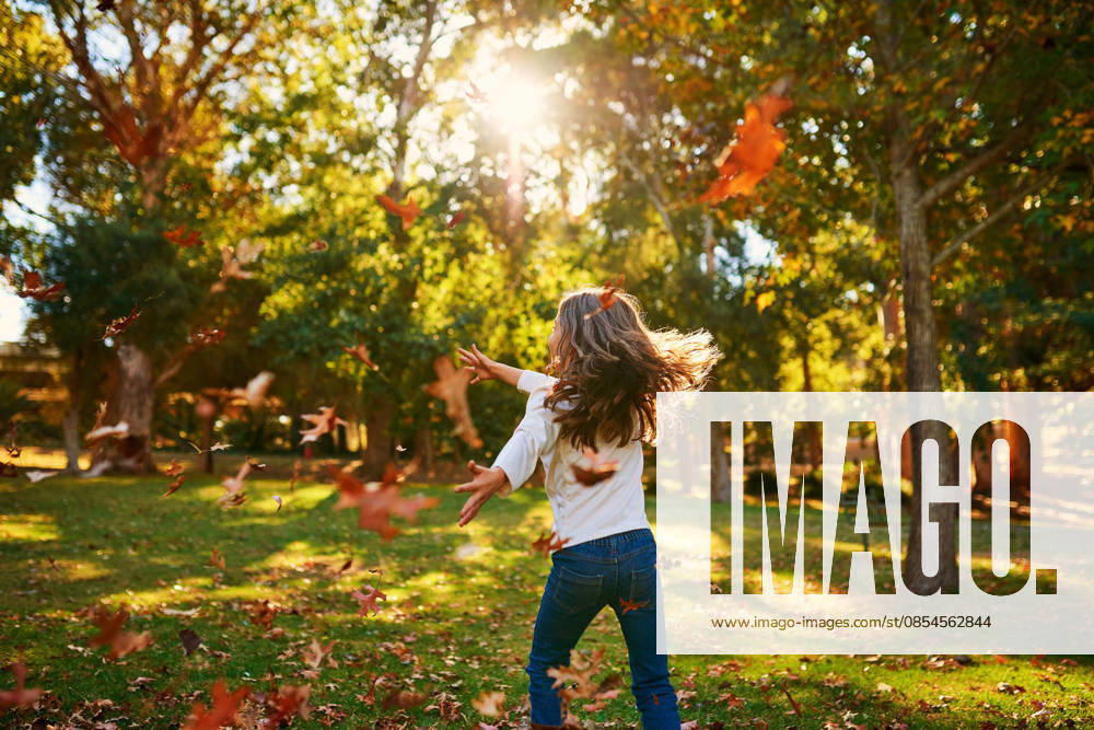 Nothing says fun like playing amongst the autumn leaves. a happy little girl playing in the autumn leaves outdoors (License=RF) ,model released, Symbolfoto