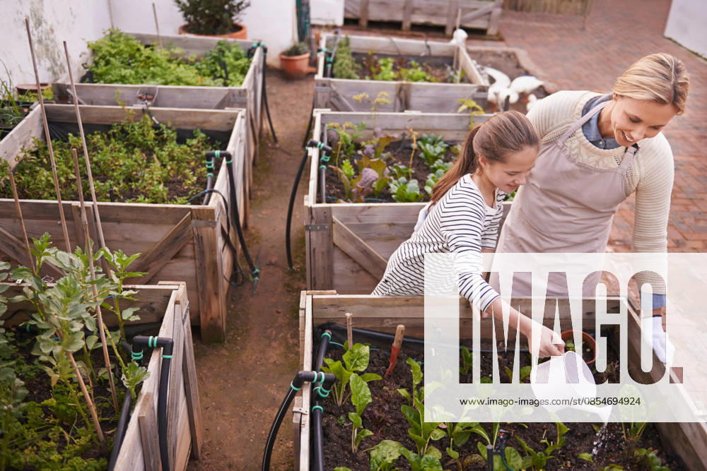 Healthy living through organic gardening. a family gardening together (License=RF) ,model released, Symbolfoto
