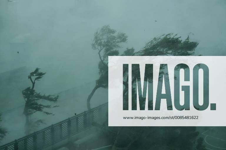 (180916) -- HONG KONG, Sept. 16, 2018 -- Photo taken on Sept. 16, 2018 shows trees in the wind on the seaside in Hong Kong, south China. The Hong Kong Observatory issued the No. 10 hurricane signal, the top level warning, at 9:40 a.m. on Sunday, as severe typhoon Mangkhut is near. ) (yxb) CHINA-HONG KONG-MANGKHUT-TOP TYPHOON WARNING(CN) WangxShen