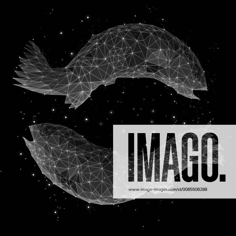 The constellation of Pisces
