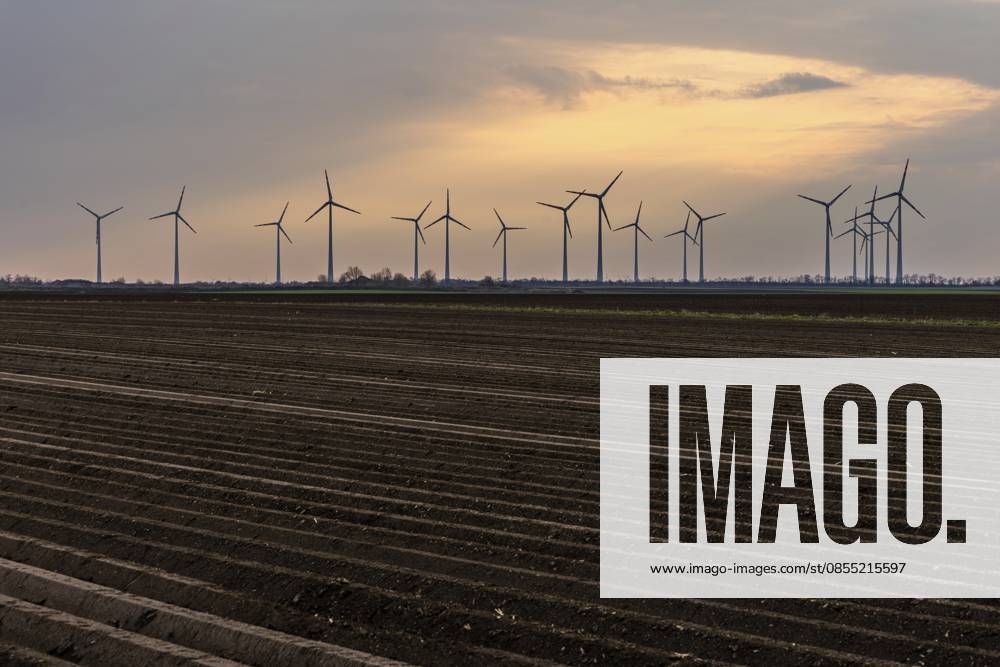 Morgenlicht und Wolkenstimmung, Ackerfläche und Windräder in einem Windpark, bei Frauenkirchen, Nationalpark Seewinkel, Burgenland, Österreich Morning light and cloud atmosphere, arable land and wind turbines in a wind farm, near Frauenkirchen, Seewinkel National Park, Burgenland, Austria
