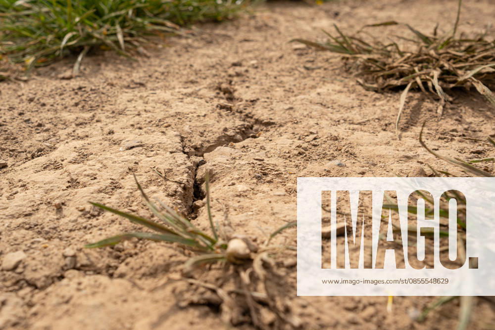 Drought in spring Cracked soil on agricultural land 03 05 2026, Selters Symbol photo, illustration image, symbol image, illustration photo, everyday scene Cracked, dried-out soil on agricultural land in spring The image shows the first signs of drought and water shortage at the
