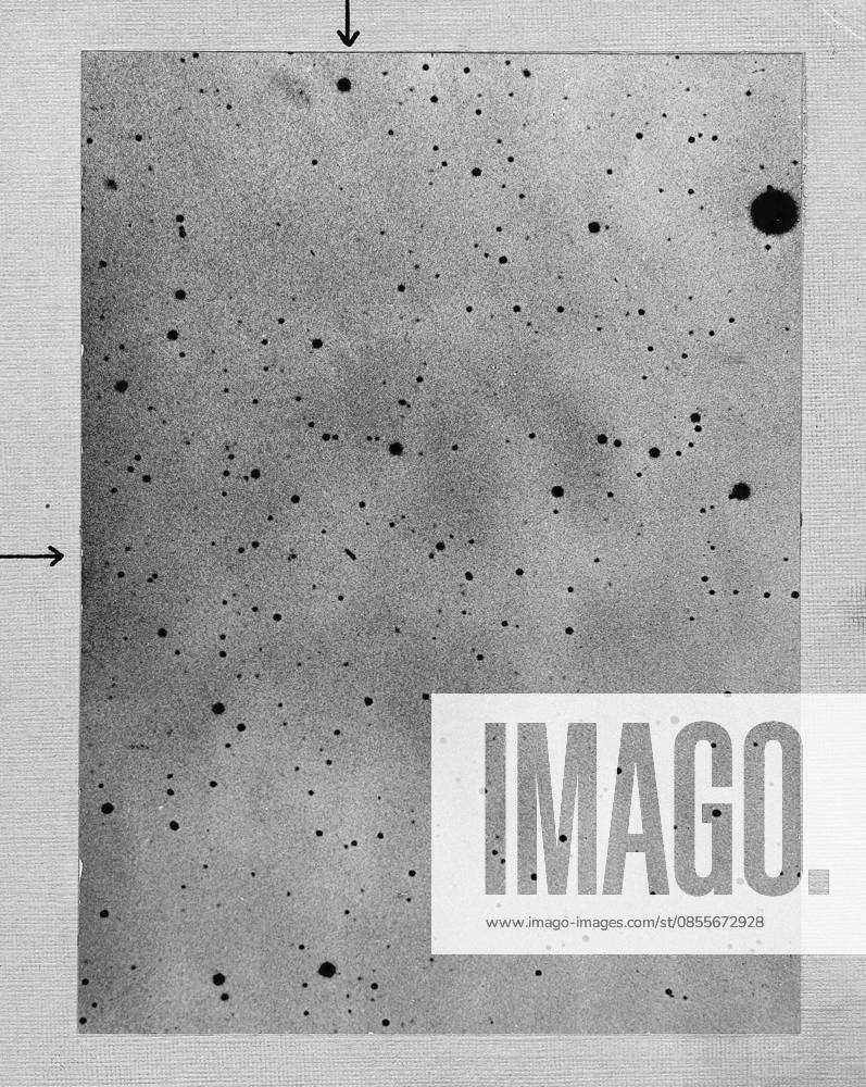 Photograph by Max Wolf of Heidelberg showing the track of the asteroid (planetoid) Sappho on 21 March 1892. Long exposure of star field showing track of the asteroid (planetoid) Sappho against points of stars. Photograph by Max Wolf of Heidelberg 21 March 1892. Negative not converted to positive to avoid any loss of detail. Editorial use only. All other uses to be cleared with the copyright owner (World History Archive), in advance., WHA_005_0086.jpg, Long exposure; star field; asteroid; planetoid; Sappho; track; stars; Max Wolf; Heidelberg; 1892; astronomy; celestial; night sky; space; photography; negative; detail; historical; astronomy photography; astronomy history; astronomical object; celestial body; astronomica