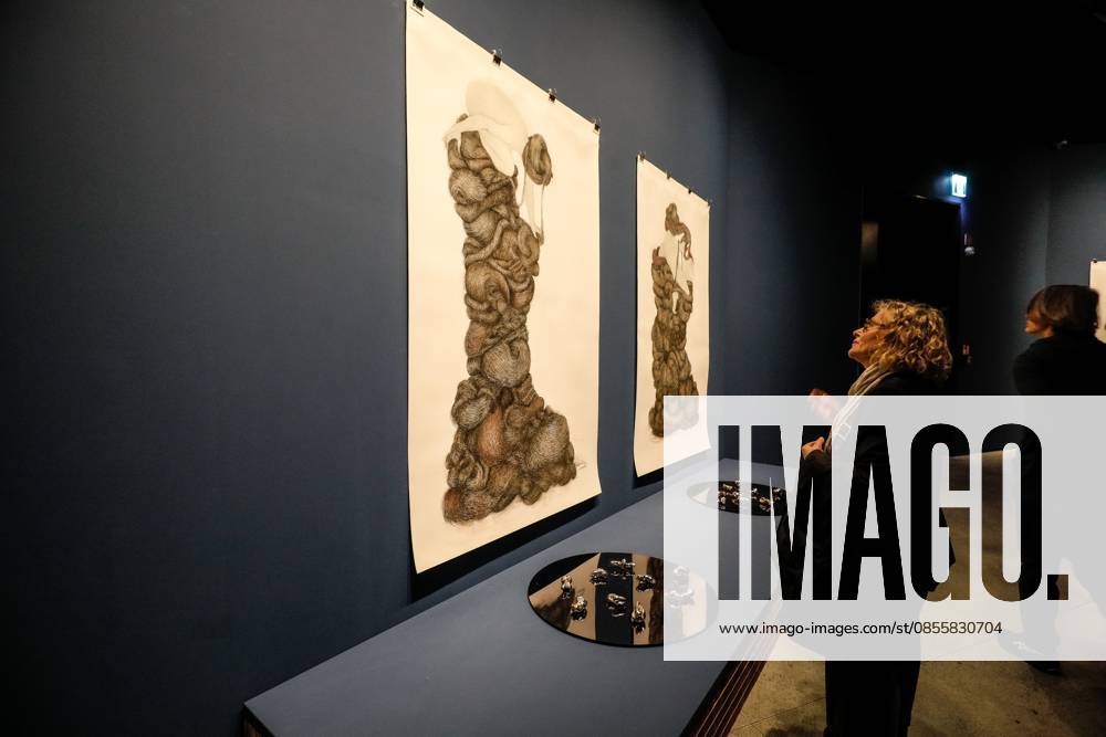 May 5, 2026, Venice. 61st International Art Exhibition of the Venice Biennale, titled In Minor Keys and curated by Koyo Kouoh. Biennale Gardens. Central Pavilion. Work by Alice Maher. Venice Italy - ZUMAa289 20260505_zia_a289_393