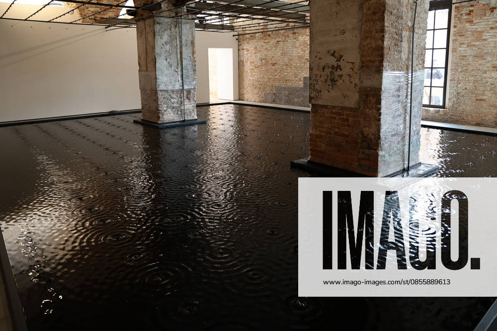 The Israeli installation at the 61st Venice Art Biennale (2026), titled Rose of Nothingness and curated by Avital Bar-Shay and Sorin Heller, is presented by artist Belu-Simion Fainaru. Located in the Arsenale, the project explores themes of spirituality and memory, using desert farming equipment to create a meditative space. The pavilion s presence has sparked heated protests and calls for a boycott.