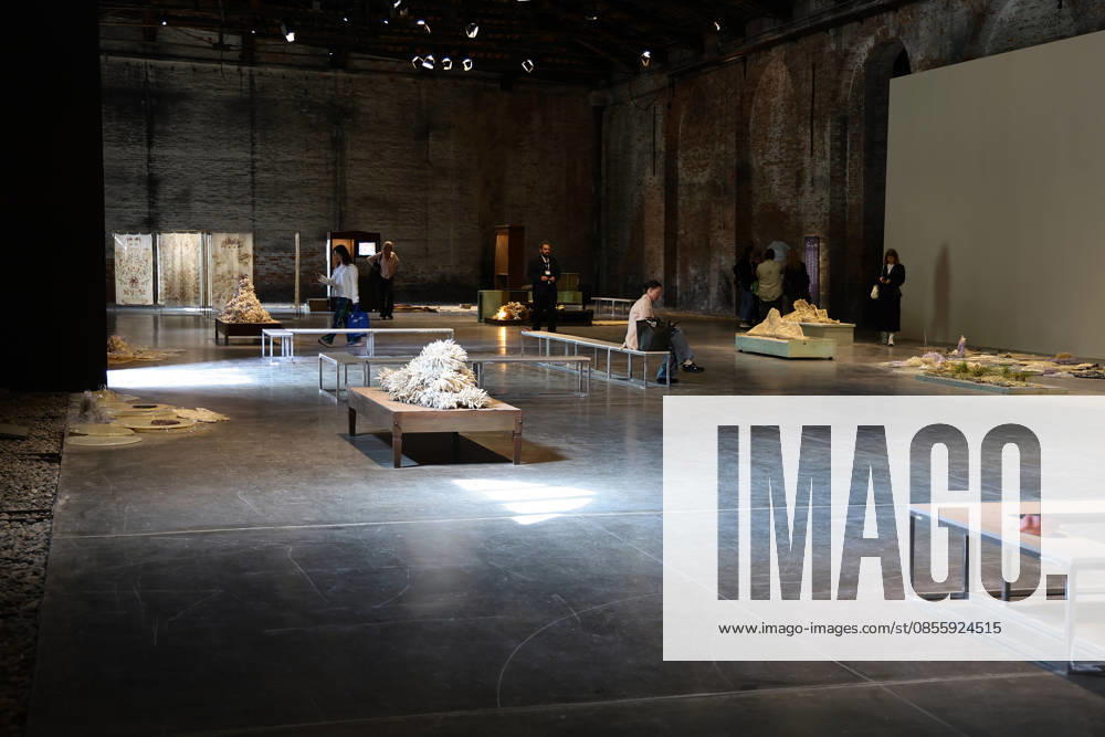 The 61st International Art Exhibition of the Venice Biennale - In Minor Keys by Koyo Kouoh - will take place from Saturday, May 9th to Sunday, November 22nd, 2026 (pre-opening May 6th, 7th, and 8th) in the institutional venues of the Giardini, the Arsenale, and various other venues throughout Venice. Pictured: Italian Pavilion