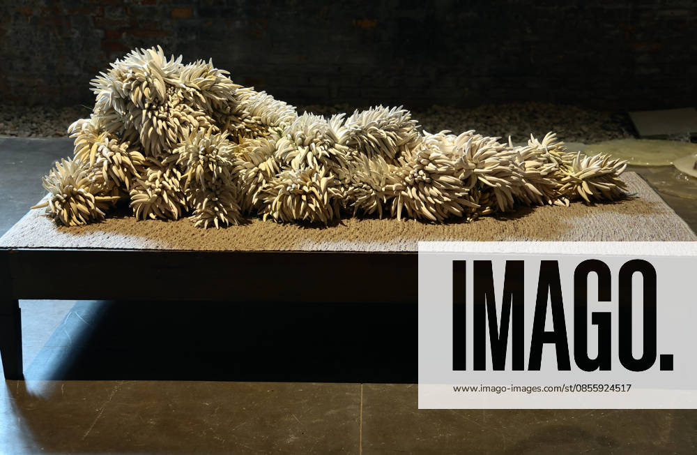 The 61st International Art Exhibition of the Venice Biennale - In Minor Keys by Koyo Kouoh - will take place from Saturday, May 9th to Sunday, November 22nd, 2026 (pre-opening May 6th, 7th, and 8th) in the institutional venues of the Giardini, the Arsenale, and various other venues throughout Venice. Pictured: Italian Pavilion