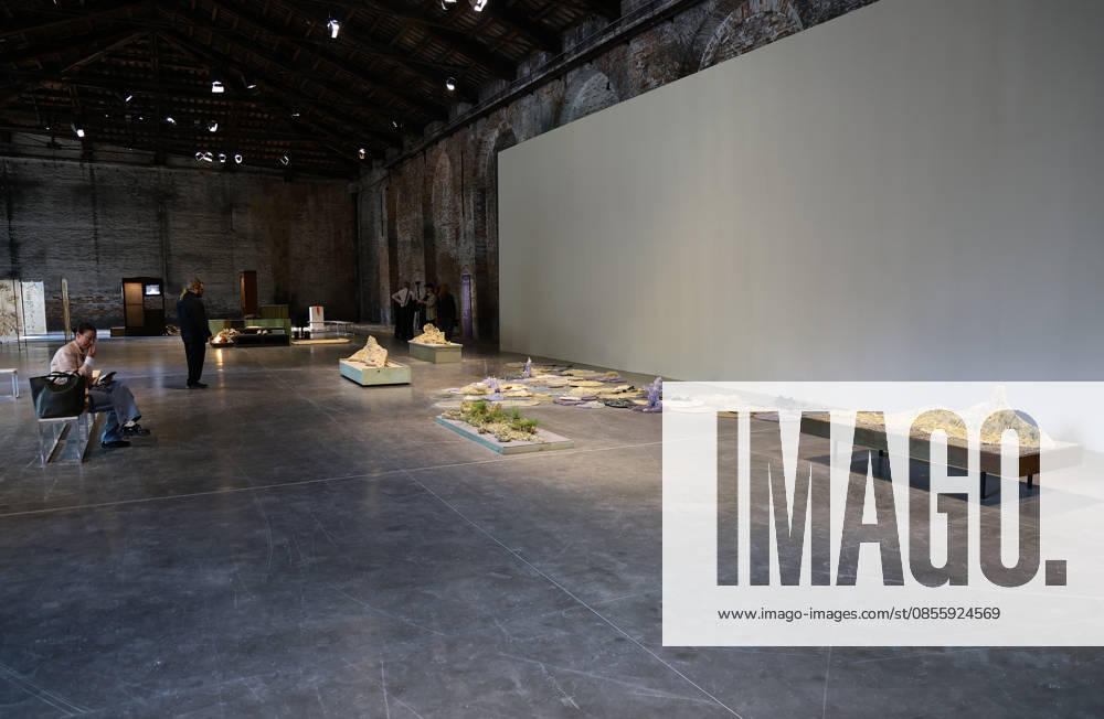 The 61st International Art Exhibition of the Venice Biennale - In Minor Keys by Koyo Kouoh - will take place from Saturday, May 9th to Sunday, November 22nd, 2026 (pre-opening May 6th, 7th, and 8th) in the institutional venues of the Giardini, the Arsenale, and various other venues throughout Venice. Pictured: Italian Pavilion