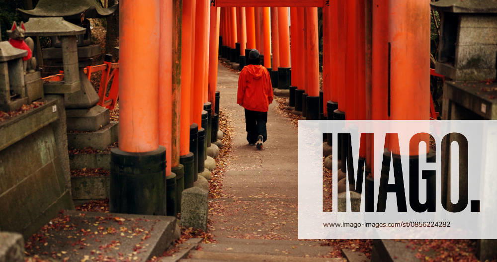 Man on path walking in Torii gate in Kyoto with peace, mindfulness and travel with spiritual history. Architecture, Japanese culture and person in orange tunnel at Shinto shrine in forest from back (License=RF) ,model released, Symbolfoto