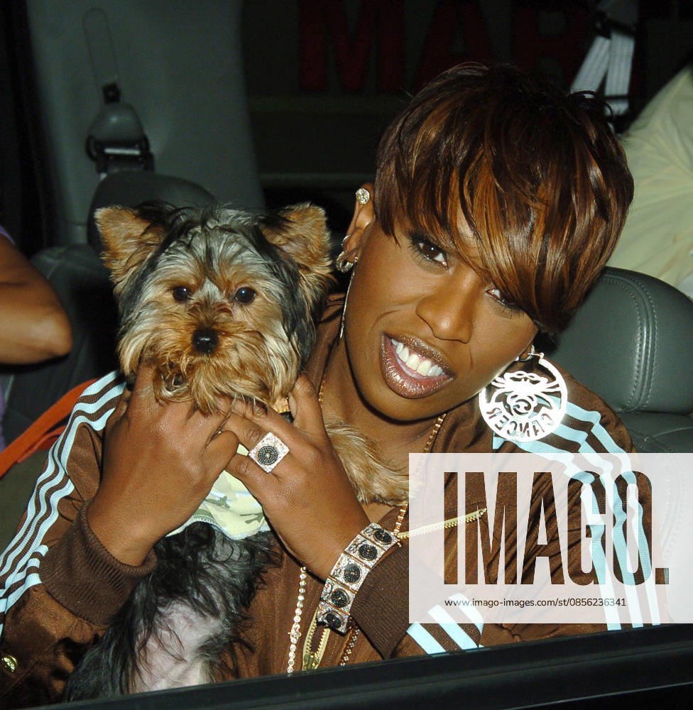 Missy Elliott visits TRL Jul 06, 2005; New York, NY, USA; MISSY ELLIOTT visited TRL at MTV studios in Times Square. Here with her dog..