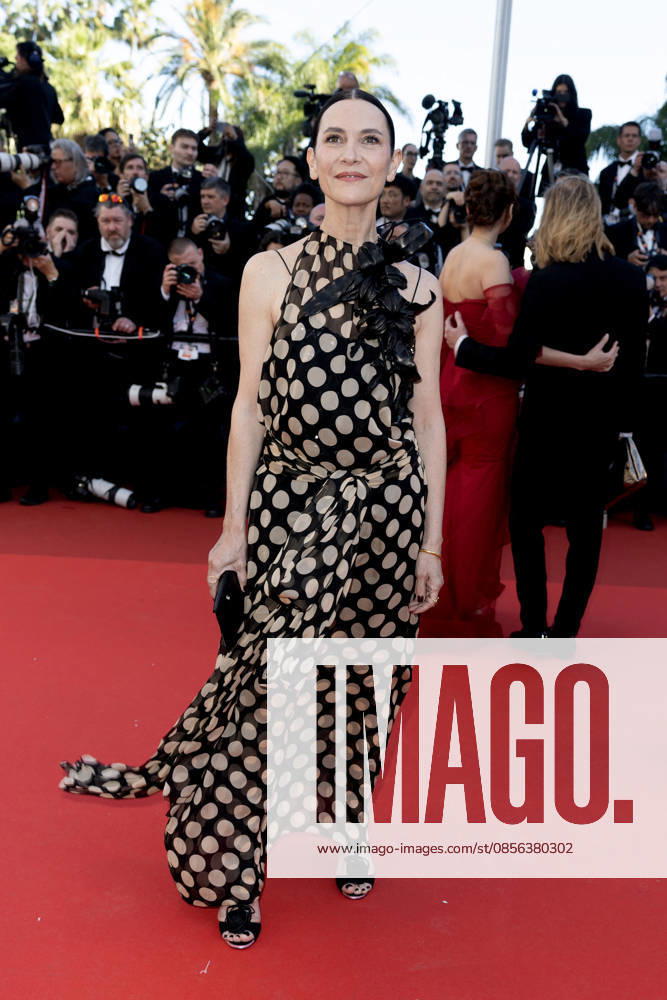Géraldine Pailhas Montée des marches du film La vénus électrique pour la cérémonie douverture du 79ème Festival International du Film de Cannes, le 12 mai 2026 Olivier Borde Bestimage Red carpet for The electric kiss during the 79th Cannes International Film Festival Opening ceremony on May 12, 2026 Cannes France