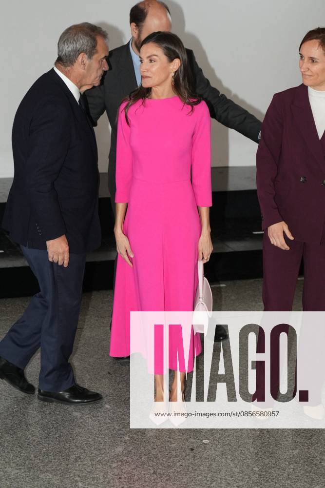Spanish Queen Letizia attending the 17 edition of Encuetro iberoamericano sobre enfermedades raras in Madrid on Thursday, 14 May 2026. Cordon Press