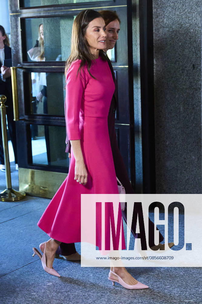Madrid Queen Letizia during the 17th Latinamerican Health Conference at the Teatro real in Madrid. No Spain Â