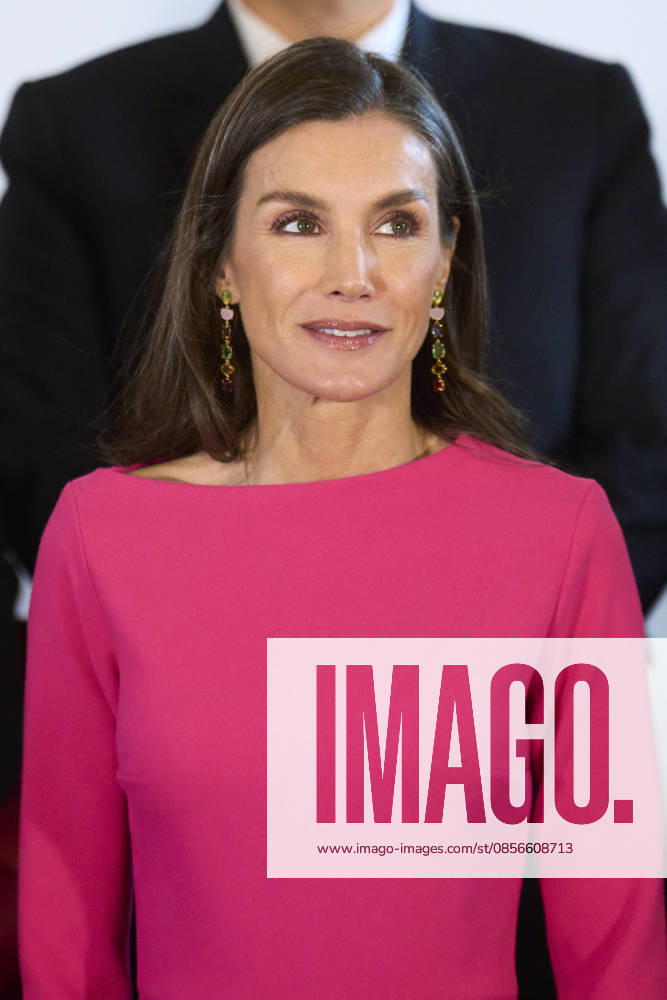 Madrid Queen Letizia during the 17th Latinamerican Health Conference at the Teatro real in Madrid. No Spain Â