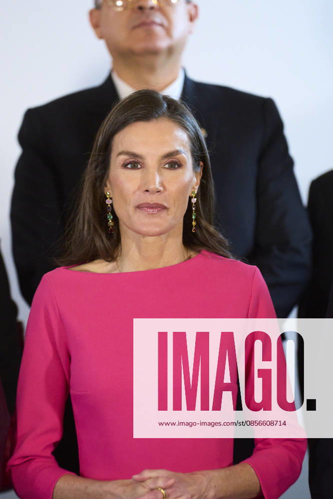Madrid Queen Letizia during the 17th Latinamerican Health Conference at the Teatro real in Madrid. No Spain Â