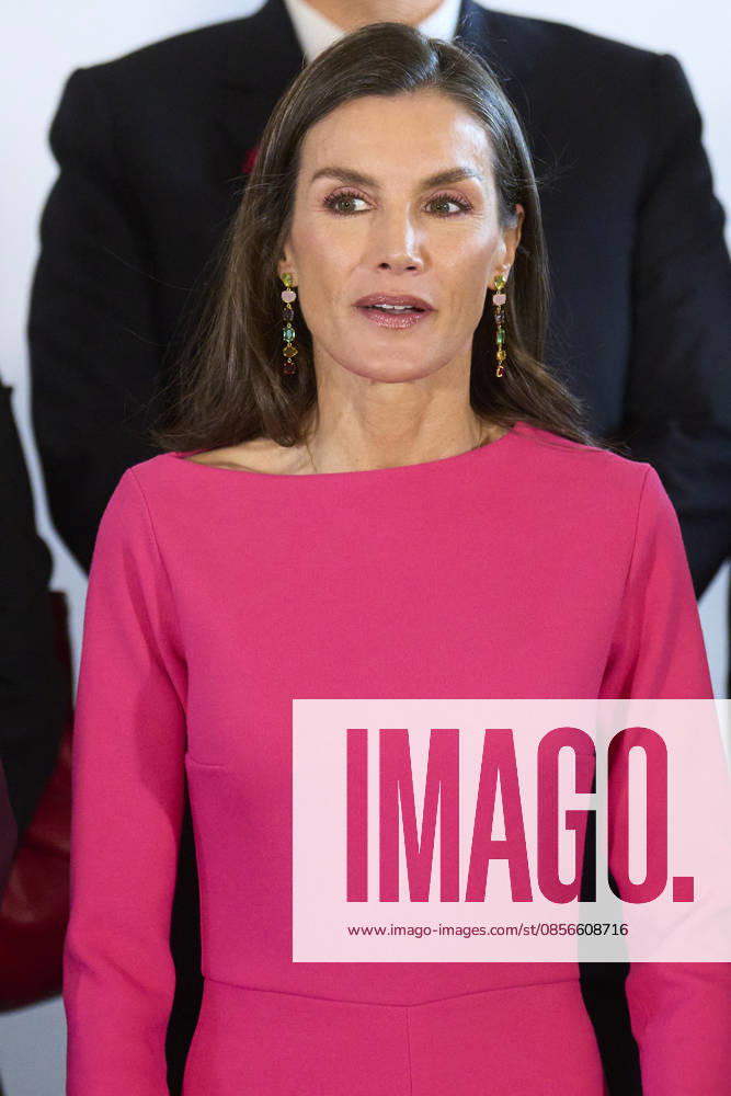 Madrid Queen Letizia during the 17th Latinamerican Health Conference at the Teatro real in Madrid. No Spain Â