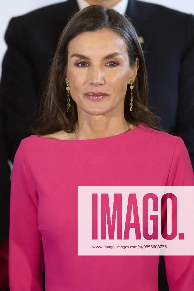 Madrid Queen Letizia during the 17th Latinamerican Health Conference at the Teatro real in Madrid. No Spain Â