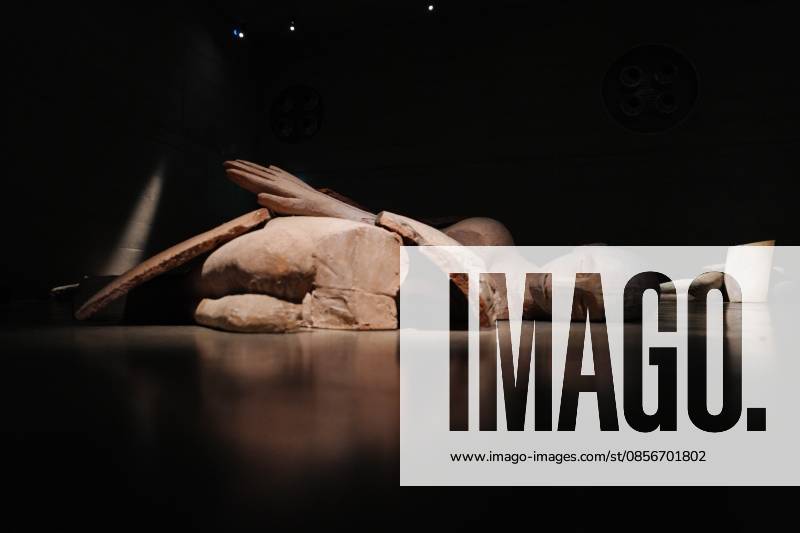 IPA84713339 - Milan, Preview of Mimmo Paladino s Paladino Installation Exhibition in the Sterling Room of Palazzo Citterio