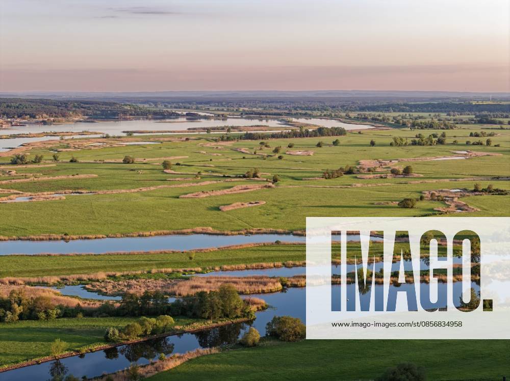 Die Hohensaaten-Friedrichsthaler Wasserstraße und die Landschaft an der Oder im Abendlicht. Nationalpark Unteres Odertal in der Uckermark. Luftaufnahme. Stützkow, Angermünde, Brandenburg, Deutschland The Hohensaaten-Friedrichsthal waterway and the countryside on the Oder in the evening light. Lower Oder Valley National Park in the Uckermark. aerial view. Stützkow, Angermünde, Brandenburg, Germany