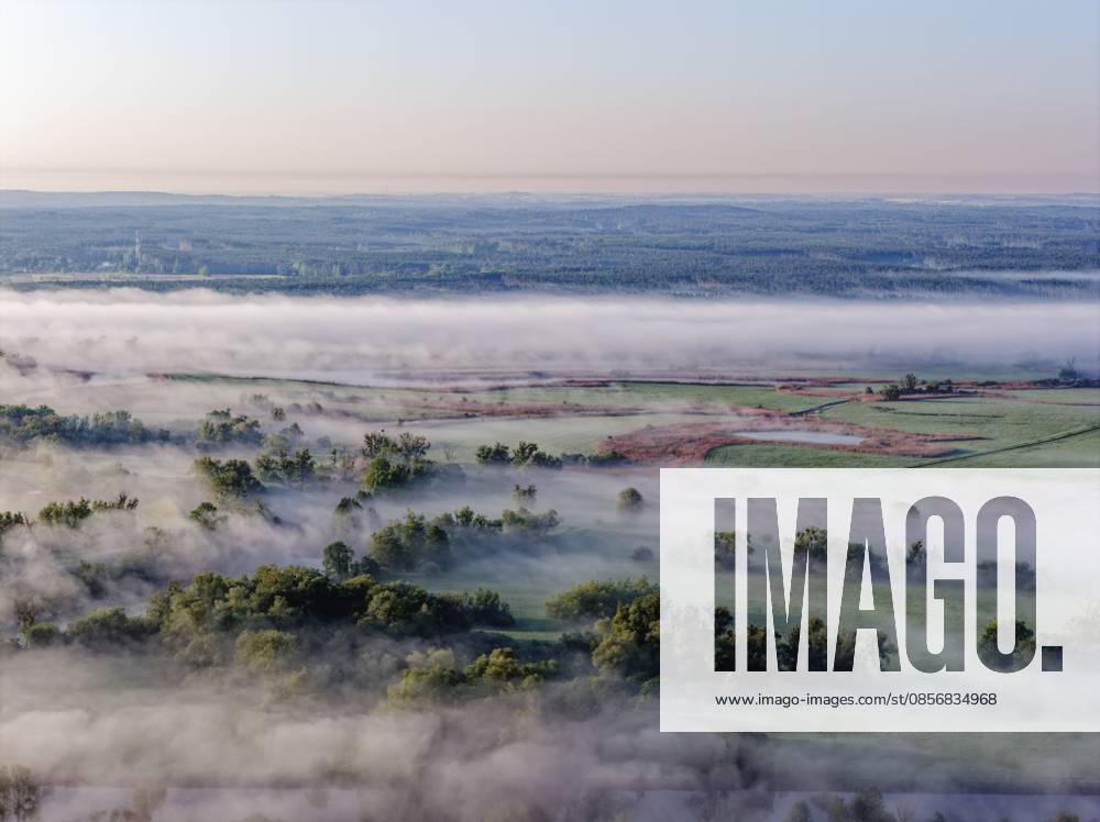 Morgennebel über der Landschaft an der Oder im Nationalpark Unteres Odertal in der Uckermark. Luftaufnahme. Stützkow, Angermünde, Brandenburg, Deutschland Morning fog over the Oder countryside in the Lower Oder Valley National Park in the Uckermark. aerial view. Stützkow, Angermünde, Brandenburg, Germany