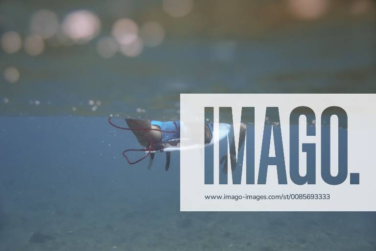 Maledives, Indian Ocean, surfer sitting on surfboard, underwater shot model released Symbolfoto KNTF01190